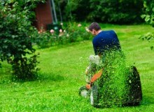 Kwikfynd Lawn Mowing
ringarooma